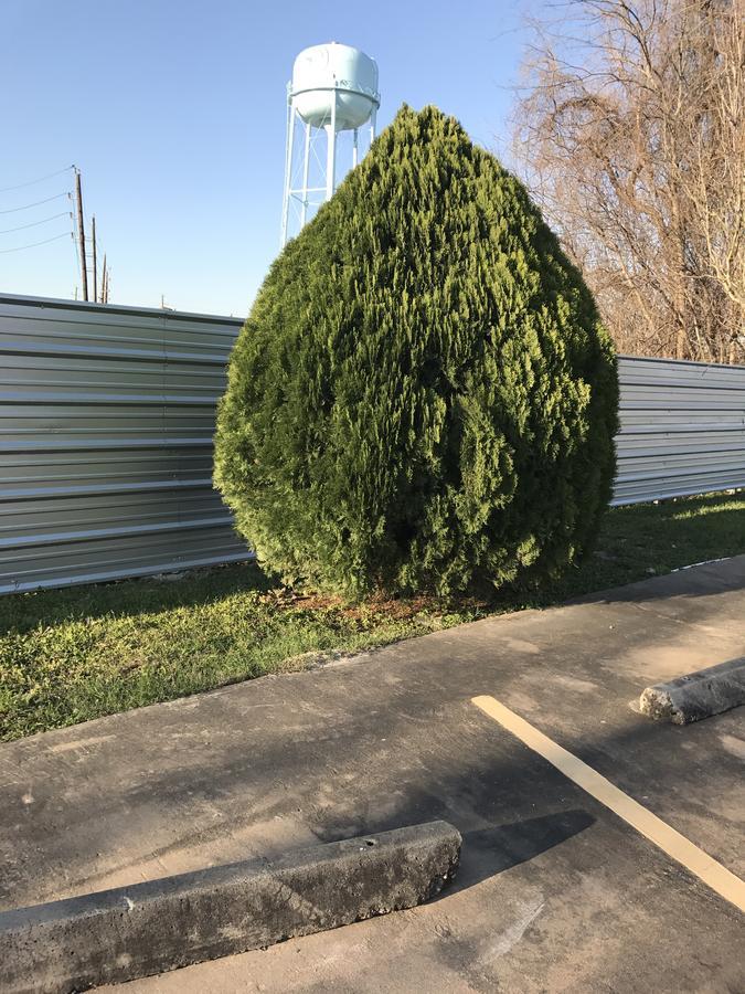 Moonlight Inn & Suites Jersey Village Εξωτερικό φωτογραφία